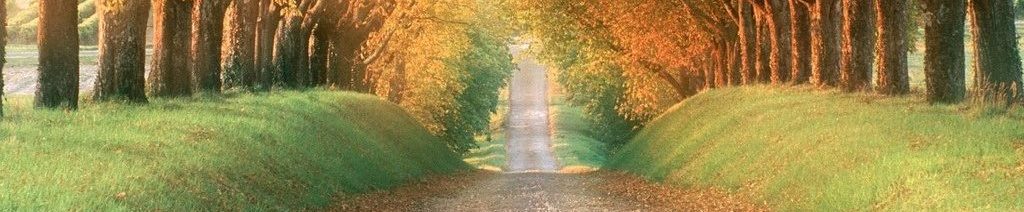 Existentieel Welzijn